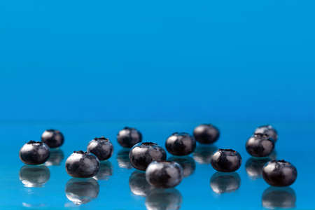 blueberries on a blue background. Shallow DOFの写真素材
