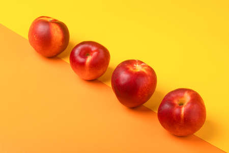 four nectarines on orange yellow backgroundの写真素材