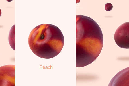Creative layout made of levitating nectarine or peach over pink background