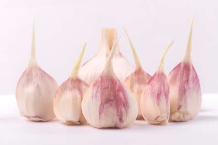 head of young garlic and cloves on a gray backgroundの写真素材