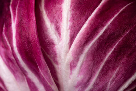 leaf of red radicchio or red salad, background image close-upの写真素材