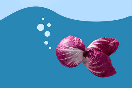 red radicchio in the shape of fish, conceptual image