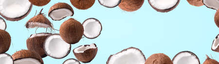 coconut panoramic mock up over blue background