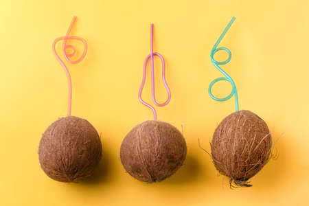 brown ripe coconuts with straws on a yellow backgroundの写真素材
