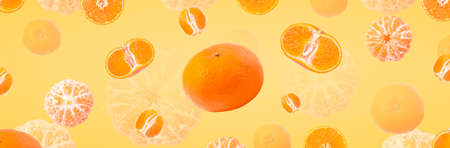 Falling tangerine, levitating mandarins over yellow background, panoramic image