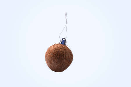 Christmas toy from coconut over blue background. Christmas toy concept for decorating the Christmas treeの写真素材