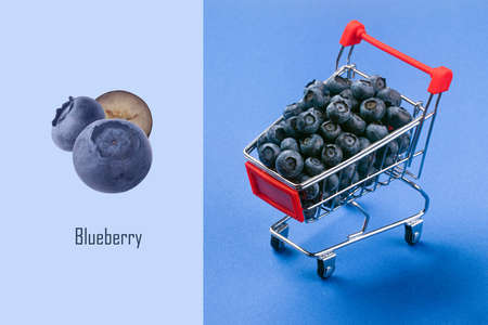 Creative layout made of metal shopping cart filled with blueberries over blue background, vegetarian healthy food conceptの写真素材