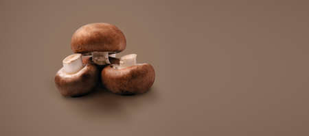 Fresh champignon mushrooms on a brown background with copy space for text,  panoramic imageの写真素材