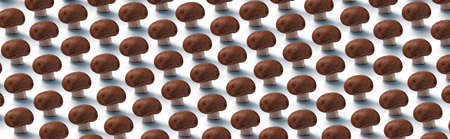 mushrooms panoramic pattern over light blue background