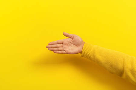 palm with place for text over yellow background, female hand with advertising spaceの写真素材