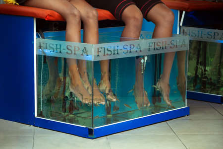 two pairs of feet in an aquarium with fish on the fish spa procedureの写真素材