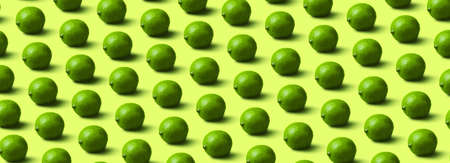 limes pattern on light green background, panoramic imageの写真素材