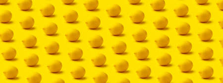 the lemon pattern on a yellow background with a shadow, panoramic image