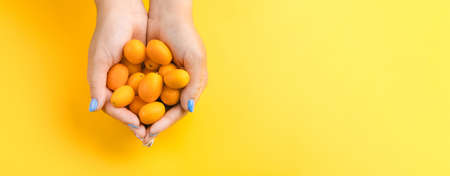 Girl holding a handful of ripe kumquat on a yellow bright background, top viewの写真素材