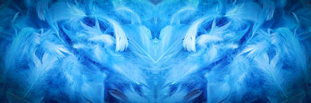 blue chicken decorative feathers, background imageの写真素材
