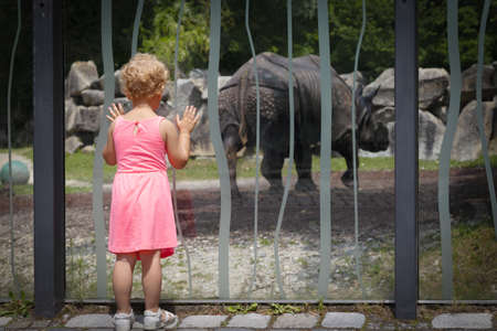 little girl looks at a rhino in the reserveの写真素材