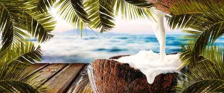 empty wooden table on background of sea and coconut, panoramic imageの写真素材