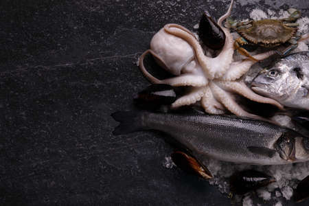 assorted raw seafood on marble table, mock-up image with space for textの写真素材