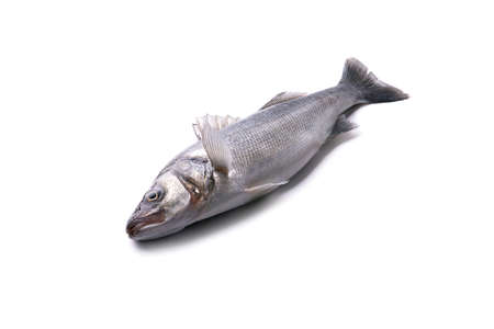raw sea bass on white backgroundの写真素材