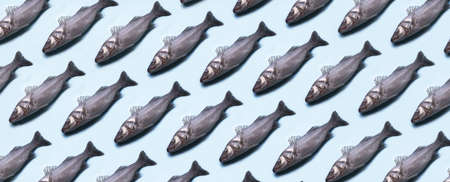 sea bass fish pattern over blue background, panoramic imageの写真素材