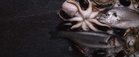 Cuttlefish, sea bass, mussels, dorado and blue crab on ice, seafood on marble table, panoramic image with space for your textの写真素材