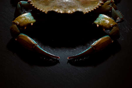raw blue crab over dark background, seafoodの写真素材