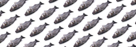 raw sea bass pattern over light background, seafood panoramic pattern