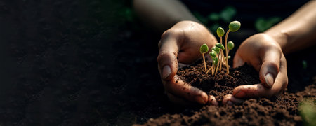 Human hands planting sprouts in greenhouse, concept of farming and planting, panoramic layout. Generative Aiの素材