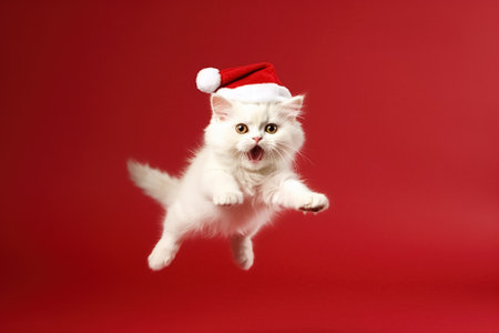 white kitten in santa hat on red background, Merry Christmas concept. Generative Aiの素材