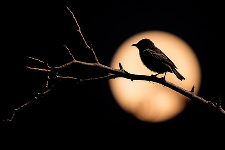 Bird on a branch in front of a full moon with a black background. Generative Aiの素材