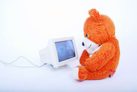 bear watching computer monitorの写真素材