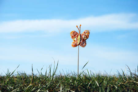 butterfly fly over the meadowの写真素材