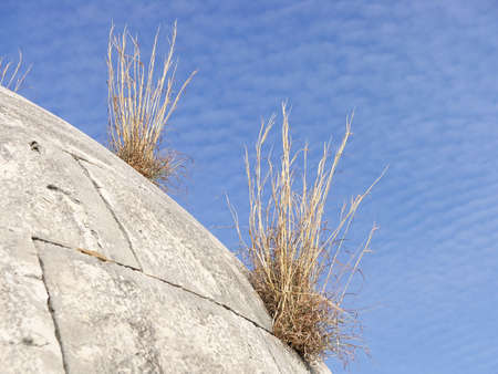summer season in corfu kerkira greeceの写真素材