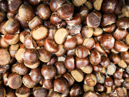 Edible chestnut in full frame as backgroundの写真素材