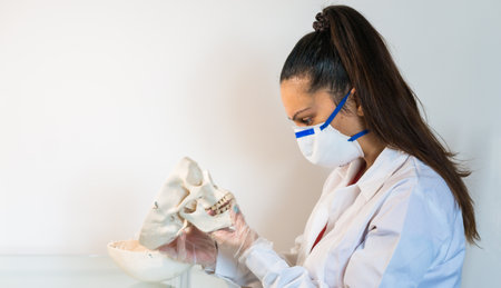 young female doctor or medical student holding human skull, pen and reading anatomy and writing on textbookの写真素材