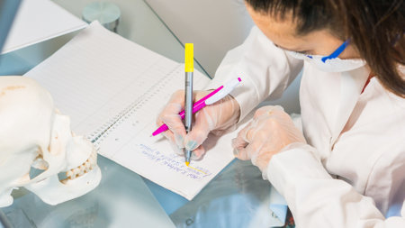 young female doctor or medical student holding human skull, pen and reading anatomy and writing on textbookの写真素材