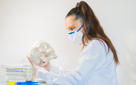 young female doctor or medical student holding human skull, pen and reading anatomy and writing on textbookの写真素材
