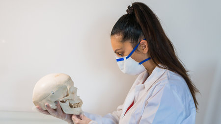 young female doctor or medical student holding human skull, pen and reading anatomy and writing on textbookの写真素材
