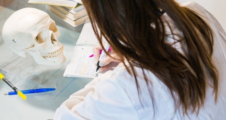 young female doctor or medical student holding human skull, pen and reading anatomy and writing on textbookの写真素材
