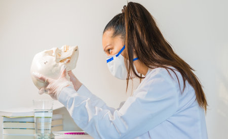 young female doctor or medical student holding human skull, pen and reading anatomy and writing on textbookの写真素材