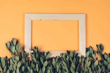 Green leaves of fragrant laurel and craft wooden frame with empty orange colored space in the center top view.の写真素材