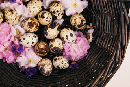 Quail eggs in brown rattan basket and pink flowers composition on beige background. Easter concept.の写真素材