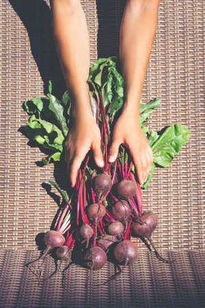 Cropped photo of female hands holding frech raw bunch of beetroot.の写真素材