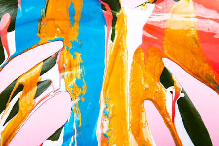 Monstera plant leaf covered with pouring colorful acrylic painting on pink background.の写真素材
