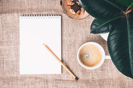 Composition of cup of fresh hot coffee, pieces of dark chocolate and nuts placed in a half of coconut shell, house ficus plant  and notepad with pencil on browm jute background table. Flat lay style for breakfast.の写真素材