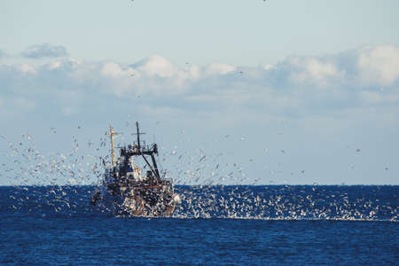 Fishing boat trawling in the Black Sea surrounded by a mass of seagulfs.の写真素材