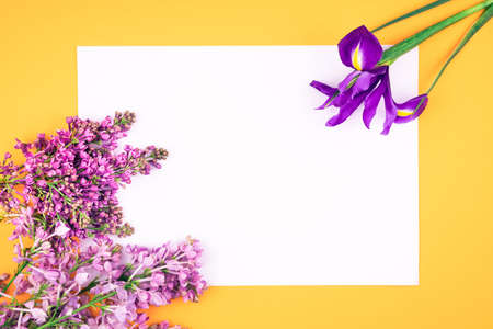 Flower card made of blue colored iris  flowers and lilac bouquet white blank paper in the cennter. For holiday project.の写真素材