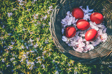 Vivid red colored easter eggs and cherry flowers in brown rattan basket placed on green grass. Easter concept, flat lay style.の写真素材
