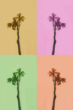 Colorful pop art style of tropical plants toned in trend color of 2020. Summer vacation backdrop.の写真素材