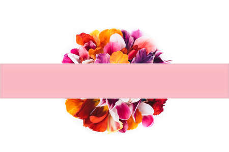 Abstract colorful tulip petals flowers on white isolated background. Macro frame. Summer flower card.の写真素材